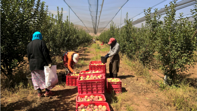 פנסיה לעובד זר